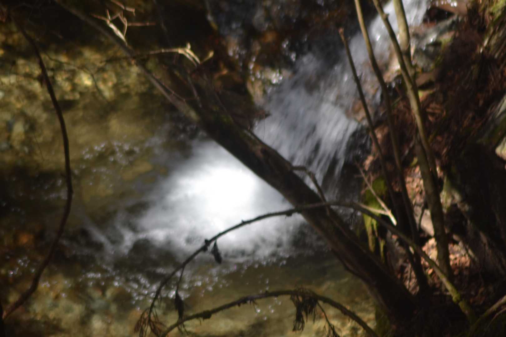 空気とか音とかにおいとか風とか