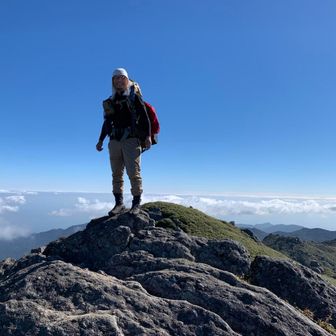 REOフク　あっきょ