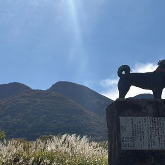 平治号🐕 ͗ ͗よろしく✨️