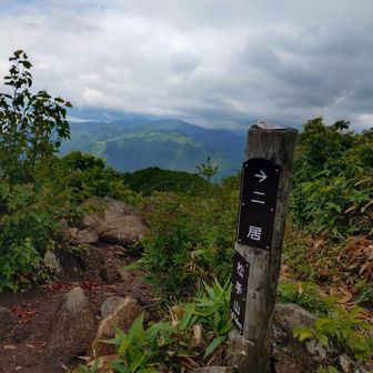松手山到着！樹林帯はハチが終始行き交い、ビクビクしながら移動した