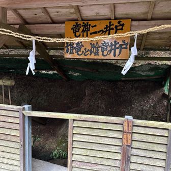 以前に水汲んだ時、
カエル🐸がスイスイ泳いでた