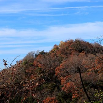 ＞交野山を振り返り