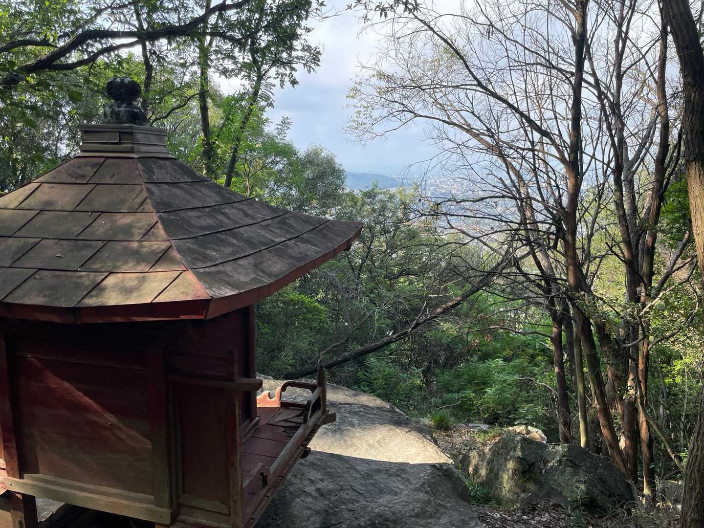 龍ノ口山-龍ノ口八幡宮 周回コースの写真