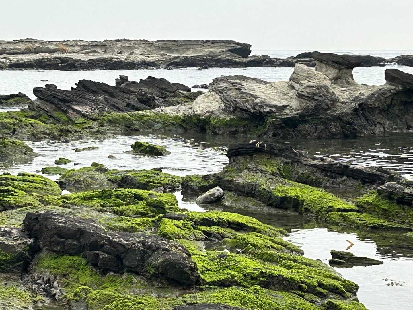 松輪バス停-剱崎-江奈湾-白浜毘沙門天-盗人狩-三崎港バス 縦走コースの写真
