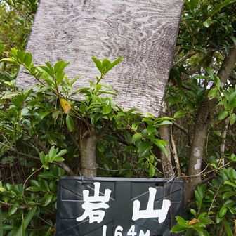 岩山⛰️
上は前の山名板で剥げたのかな⁉️