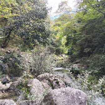 基本川沿いに進みます。滑ります。早くは進めません。うっすら匂います😱
