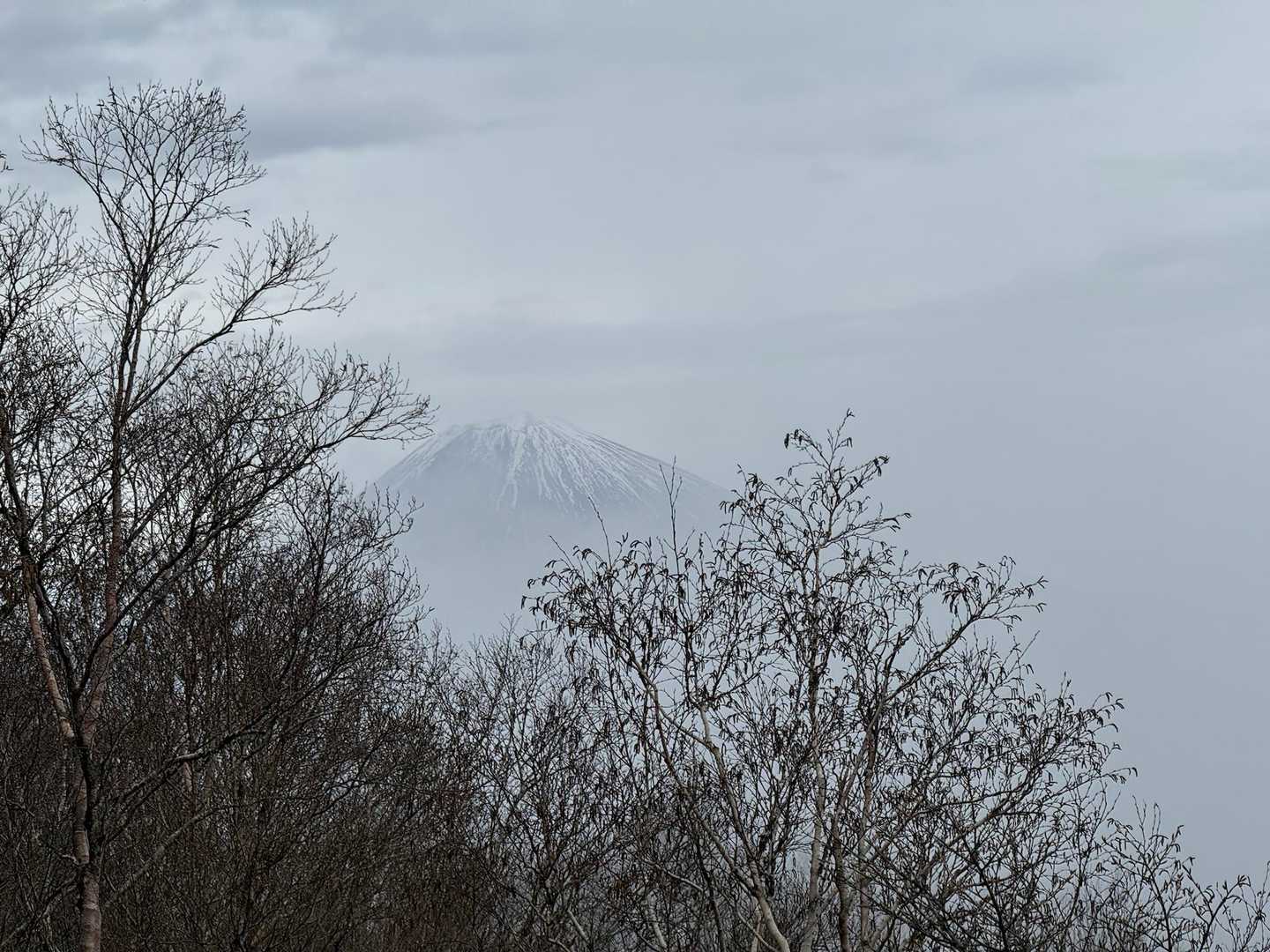 富士山か見えた🙌