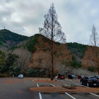 で、百々ヶ峰に帰ってきた