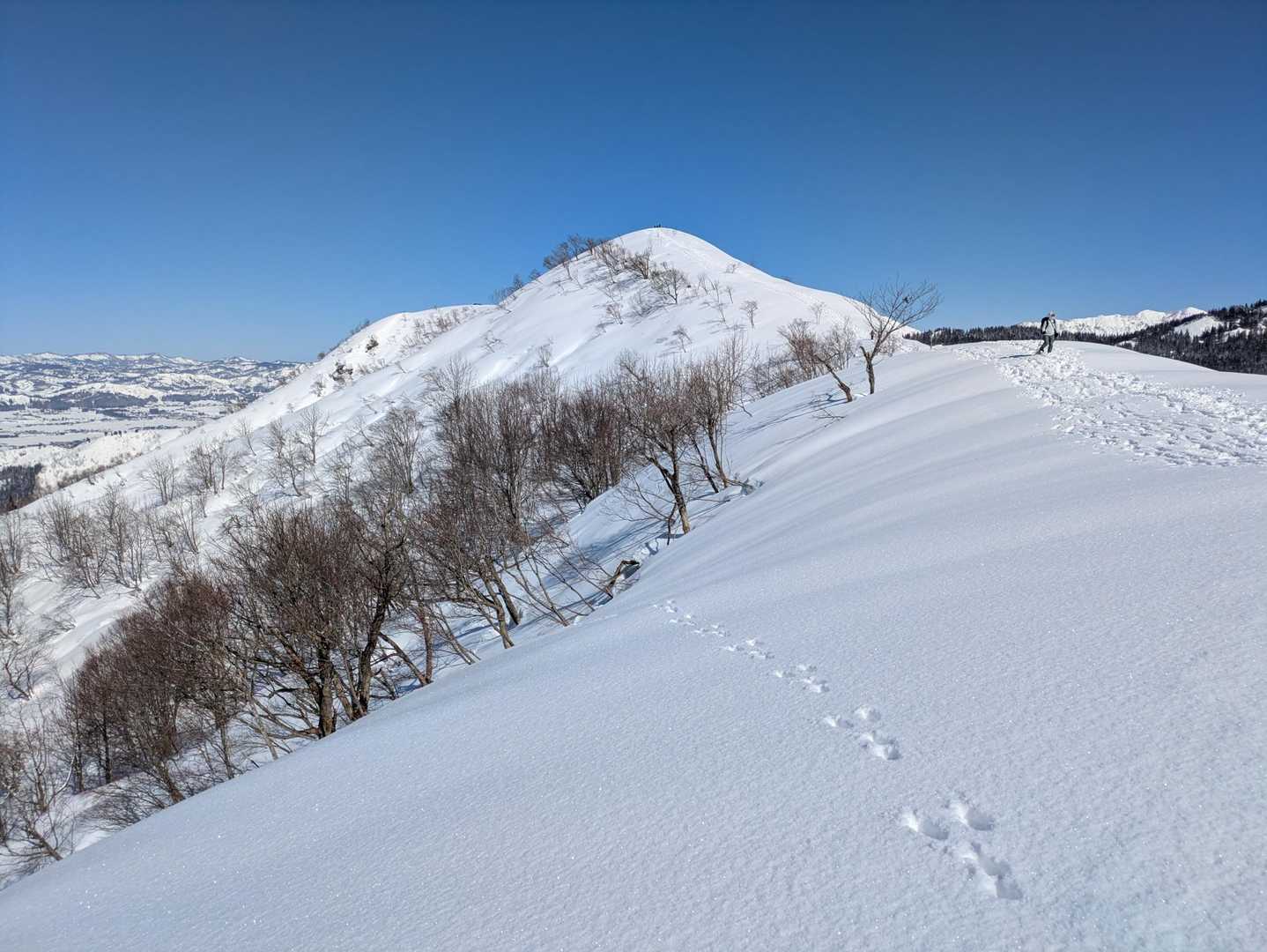 振り向き大力山