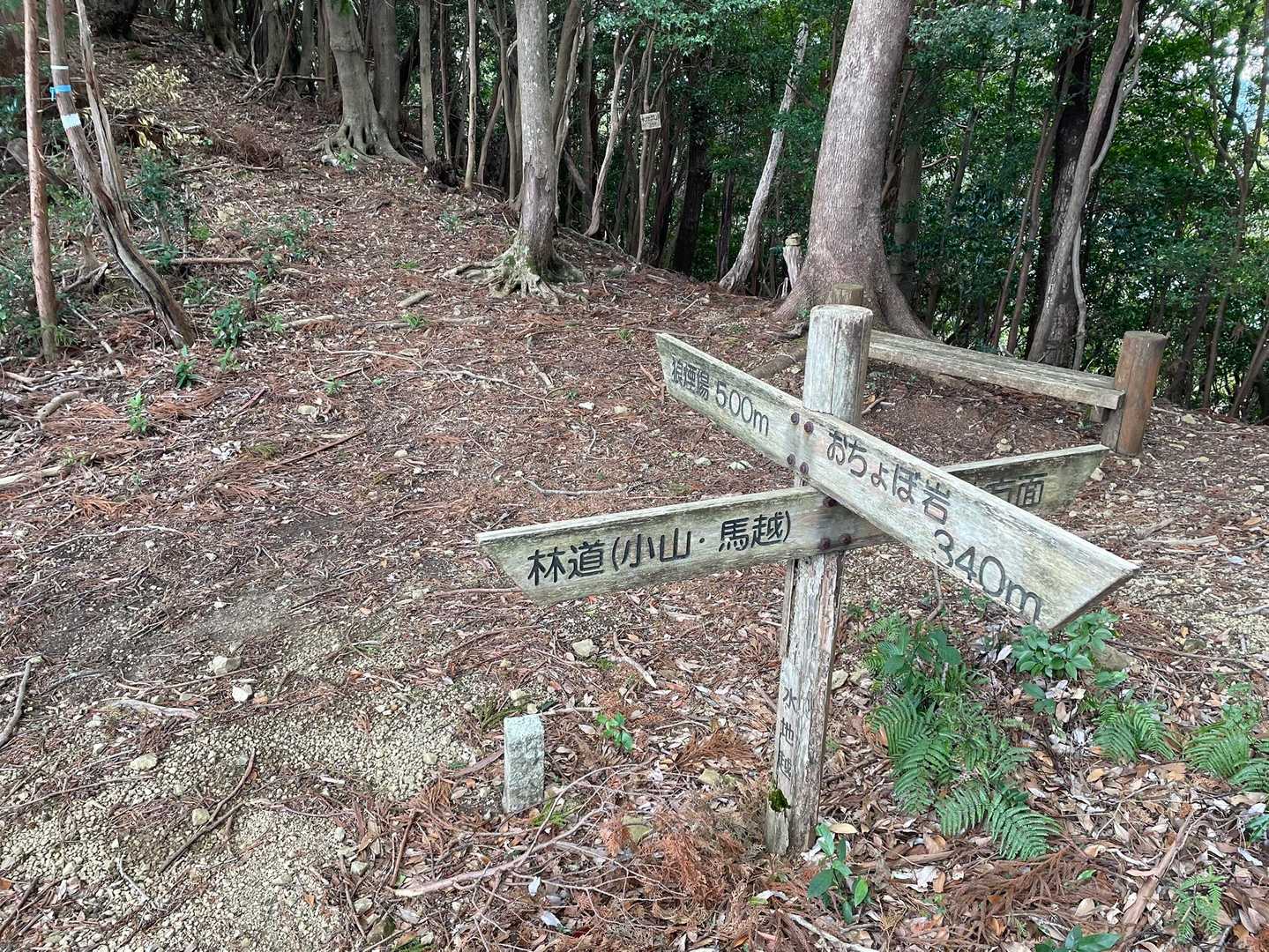 分岐にきました😏
ここが水地越峠かな🤔