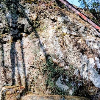 この梯子🪜を登ると✨