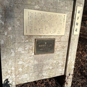 笹子隧道について

四方を山々に囲まれた山梨にとって昔から重要な交通ルートであった甲州街道。その甲州街道にあって一番の難所といわれたのが笹子味です。
この難所に開刺された笹子隧道は、昭和十一年から十三年まで国庫補助を入れて二八万六千七百円の工費を投入
昭和十三年三月に完成しました。抗
門の左右にある洋風建築的な二本並びの柱形装飾が大変特徴的であります。
昭和三三年、新笹子トンネルが開通するまでこの隧道は、山梨、遠くは長野辺りから東京までの幹線道路として甲州街道の交通を支えていました。南
大菩薩嶺を越える大月市笹子町進分
（旧笹子村）より大和村日影（旧日影
村）までの笹子峠越えは、距離十数キロメートル、幅員が狭くつづら折り力ーブも大変多いためまさしく難所で、遥か東の東京はまだまだ遠い部だったことでしょう。
昭和前期の大役を終え静寂の中にあるこの隧道は、平成十一年、録有形文化射に指定されました。
大月土木事務所