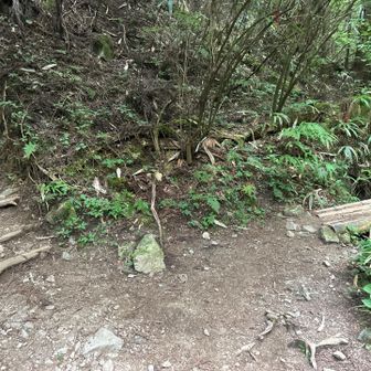 この分岐は右側で