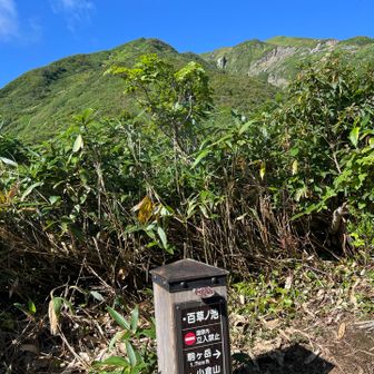 百草の池がありますが道は無く近づけません。