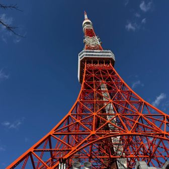 そして東京タワー🗼