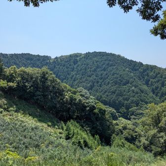 夏の山の風景ですね～