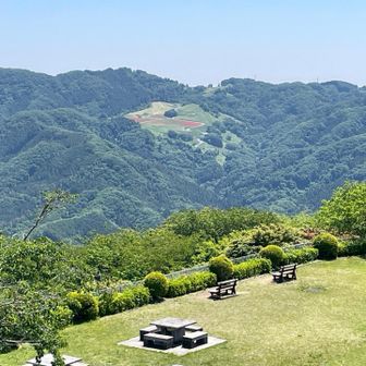 反対側のあの山頂付近の開けた所は「天空のポピー畑」かしら