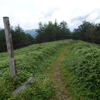 下山