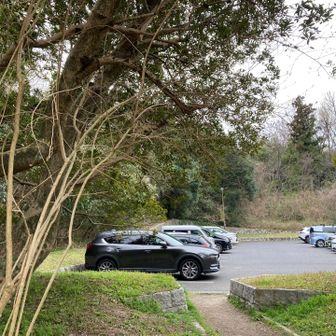 駐車場に帰ってきました。