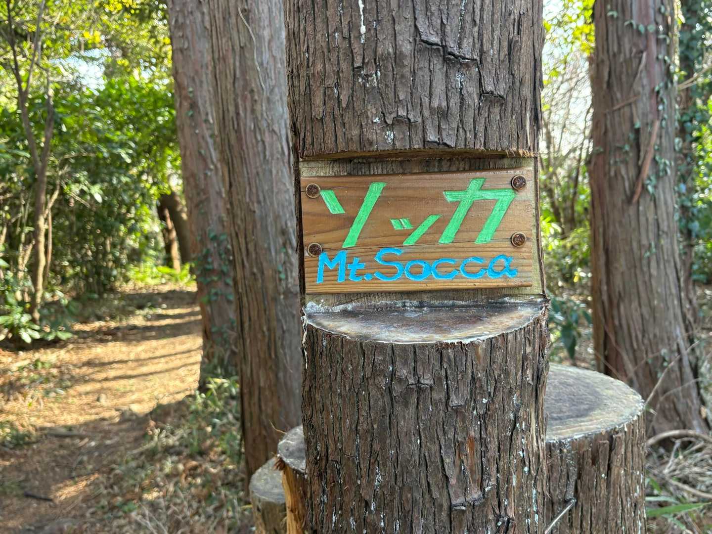 あー、そっか‼️もう山頂か。
