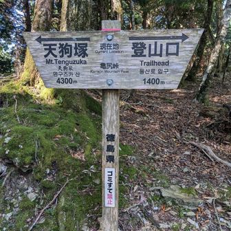 ここ亀尻峠までは歩きやすいです。