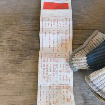 その後、センセー達と別れてから、初めて阿波々神社を参拝しました。御朱印を頂いたついでにおみくじも引きましたが、内容が難解で良くわかりませんでした😅