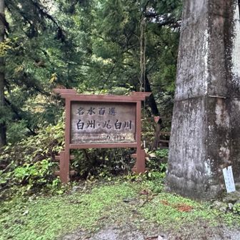名水百選
白州・尾白川
今は北杜市となってしまったけれどもかつては白州町だった。
サントリーのウィスキー白州の知名度は高いと思うが、その醸造所も程近い場所にある。
サントリーのモルトウィスキーの醸造所としては二番目という白州だけれどその設立は1973年ということで、山崎50周年の年ということだから、山崎の歴史もかなり古いのではあるけれど、白州も既に50年が経っている。
山崎よりも平均気温は5度以上低く、甲斐駒や日向山の山頂など見ても分かる通り花崗岩の地質から染み出す水は硬度が低いことから山崎よりも、冷涼で軟水という条件、そして世界でも最大級とされる広大な敷地面積を持つ白州の蒸溜所がある白州。
つまりは・・・とても綺麗な水の町といういうことだ💧