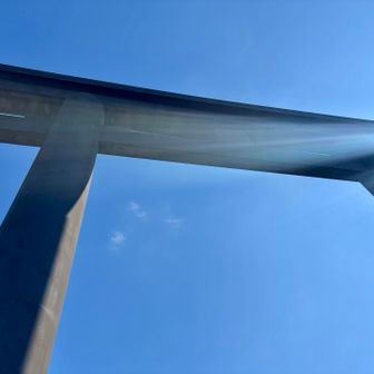 デカすぎるので、直下からの撮影は無理🤣