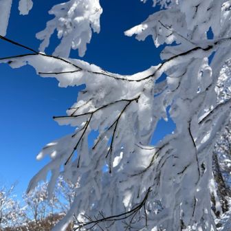 二ノ峰の下あたり