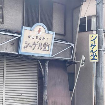 藤野駅近くで見る「シーゲル堂」の看板
気になるなぁ…🤔
さてさて、次は藤野15名山コンプリート💪