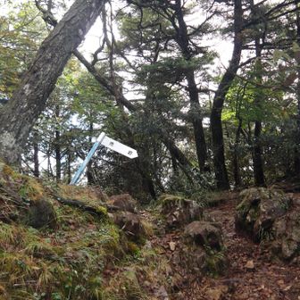 ４回目の禿岩到着です
うち、飛龍山山頂まで行ったのは２回