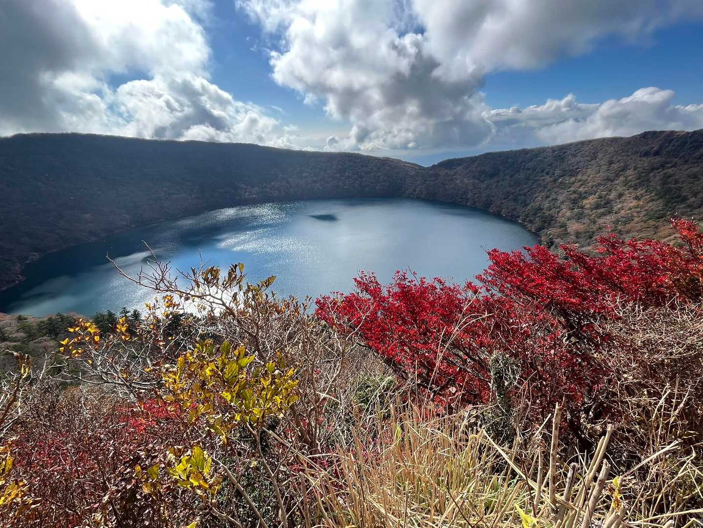 ついに😍見れたー大浪池と🍁コラボ♡