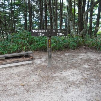 第二ベンチ。もう少しがんばろう