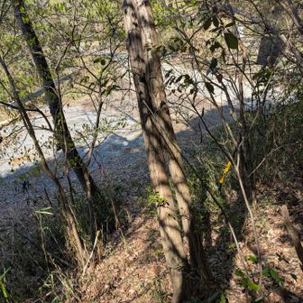 最後は激下り💦