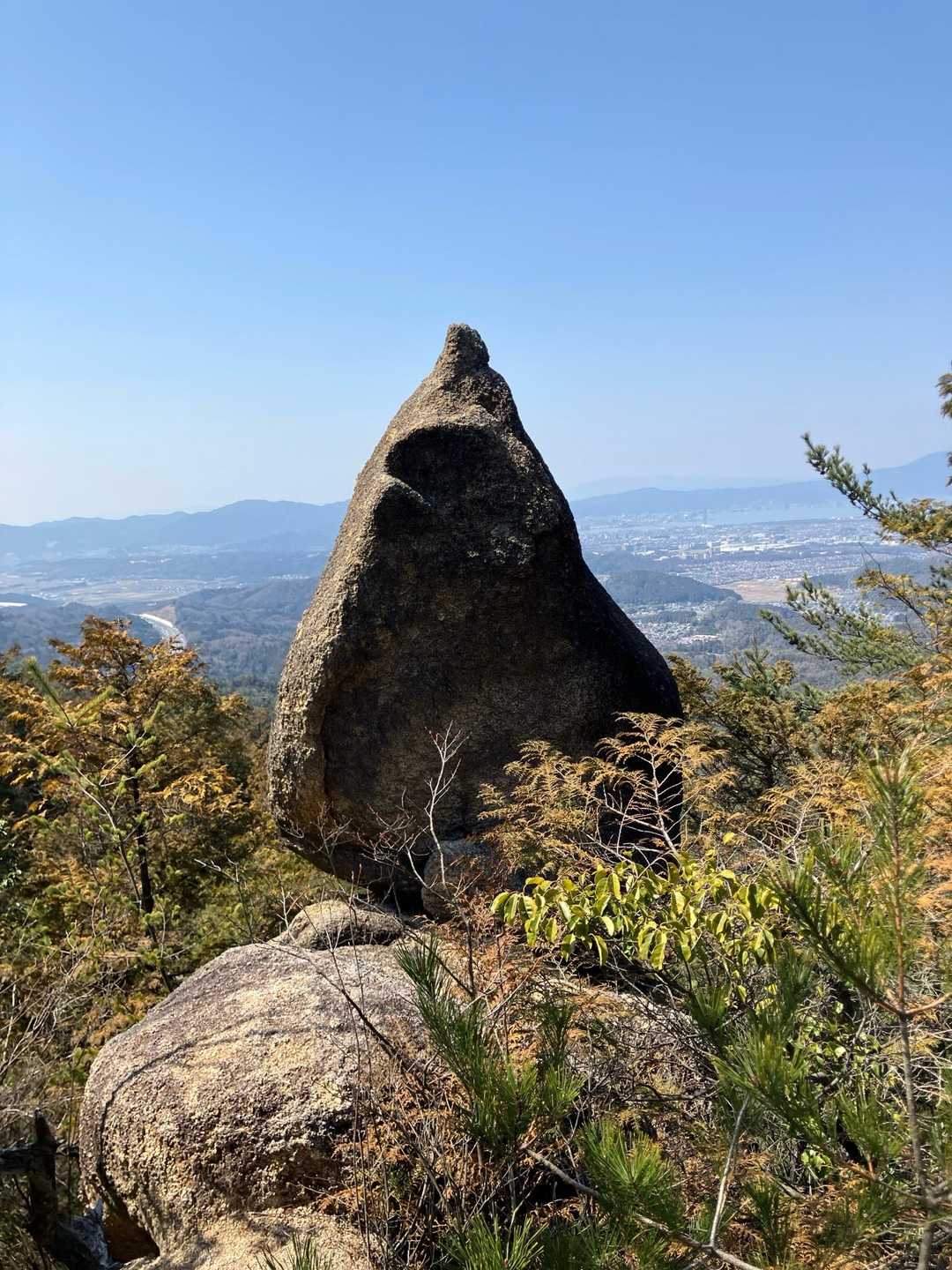 面白い