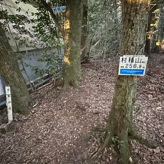今年初の村積山山頂