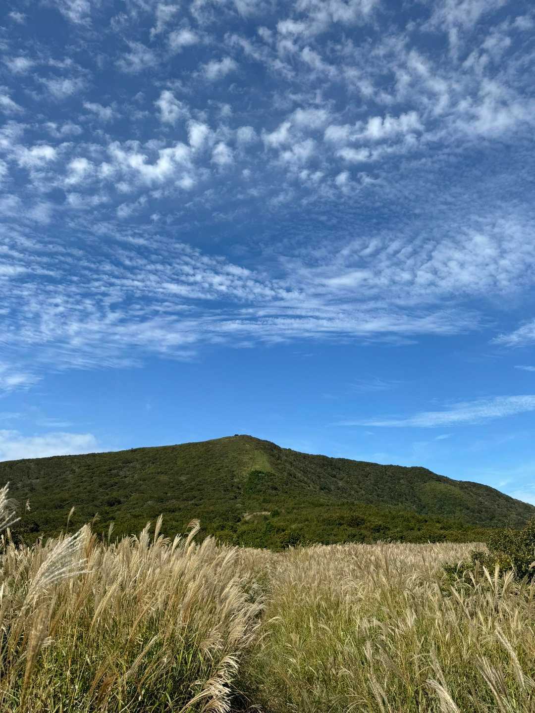 振り返って吾妻山方面もまた綺麗✨