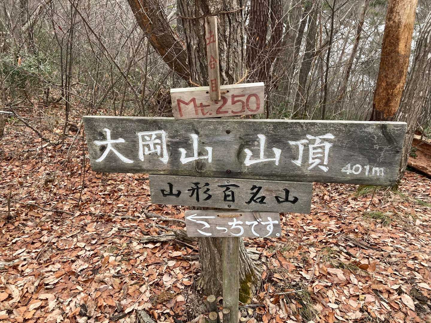 旧山頂看板も味がある