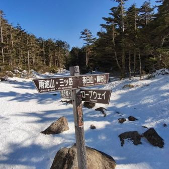 分岐🚶縞枯山の後雨池山にも行く予定でしたが力尽き中止😰無理はしません