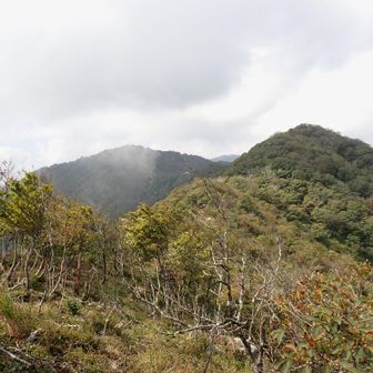 ヤケオ山970ｍから👀フジハゲのピーク1010ｍ（右）・釈迦岳1060ｍ（左）👀・・