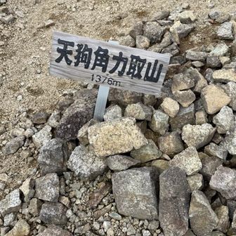 てんぐすもうとりやま！👺