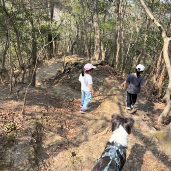 降ります！
疲れたら飴かポイフル食べようねって話