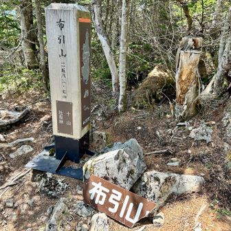 布引山⛰️
フラットなエリアでここでも少しお昼寝😴
ふわふわの苔ベッドでぐっすり10分くらい寝たら超回復した。