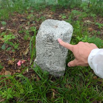 我が家に金が湧くよう
願いを込めてポチる（切望）