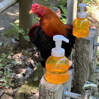 みや