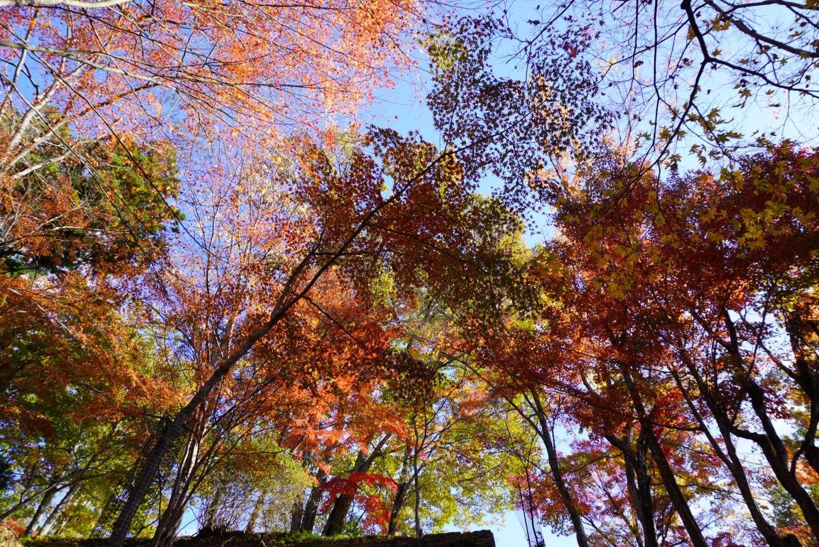 何度も写真ばかり撮ってしまいます💦