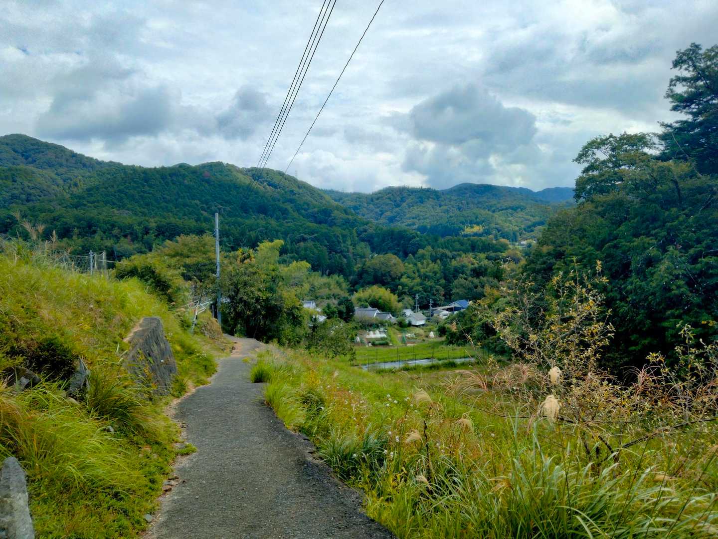 高代寺山-吉川八幡神社 周回コースの写真