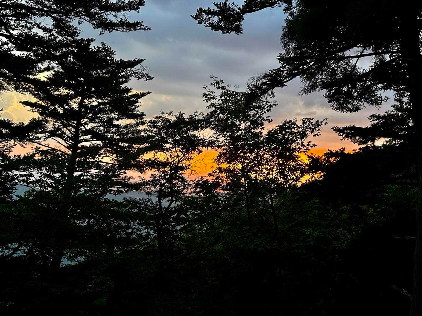 愛宕山 往復コースの写真