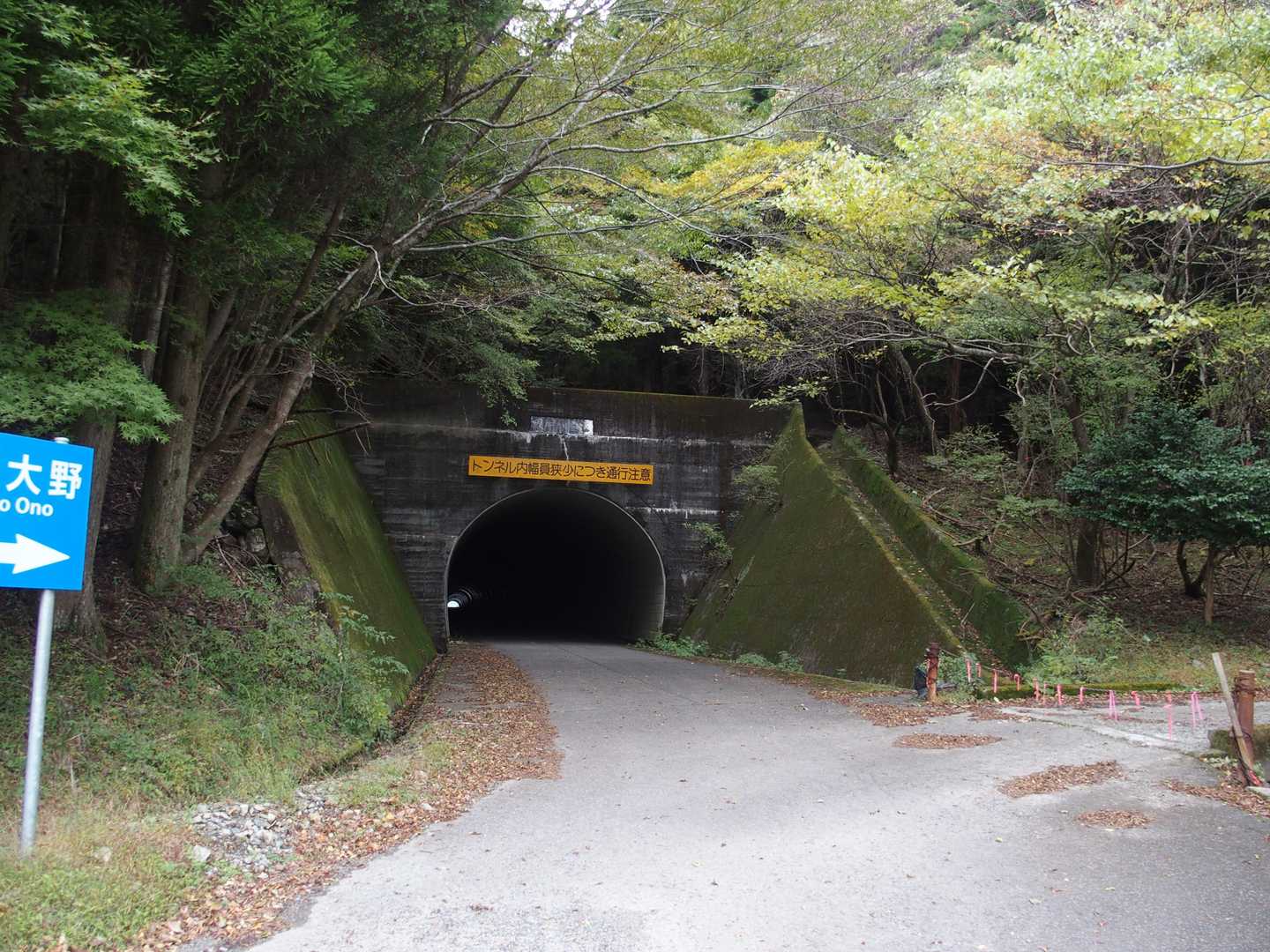 尾平トンネル登山口は、たくさんの車
古祖母へ向かう方が多いみたい、皆さんアウター羽織って…おじさんは山シャツにベストだけ😤
今日はトンネル右の登山口からの歩き始め🎵