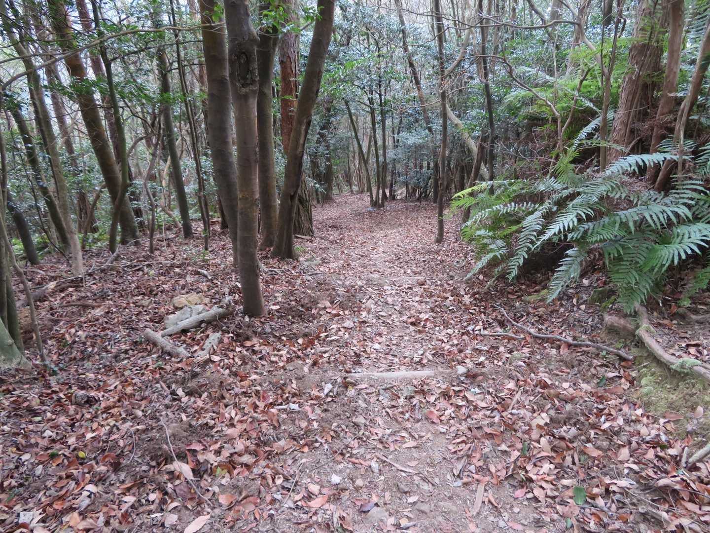 下ります